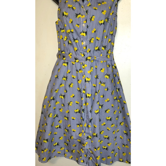 Chloe & Rene Blue Pinstripe Sleeveless Shirt Dress XL Lemon Print Cotton Belted - Picture 2 of 16